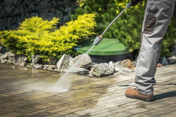 Best Winterizing Services  in Monticello, LA